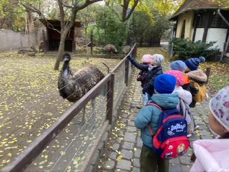 Processed 05D1728A 0878 4148 B0A0 543D99976660